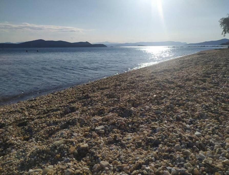 הוילה ניאה סטירה Το Σπίτι Της Μαργαρίτας Στην Παραλία מראה חיצוני תמונה